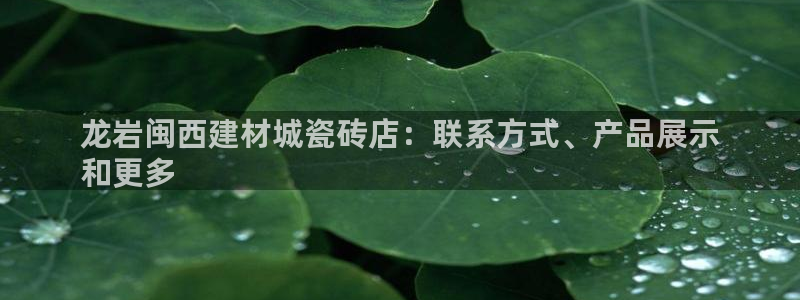 杏鑫平台代理注册多少钱啊