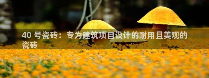 杏鑫娱乐官网登录不了