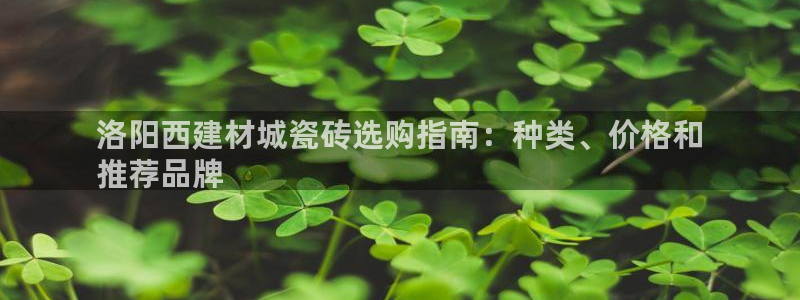 杏鑫代理注册资金多少