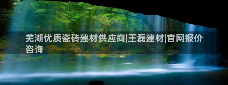 杏鑫官网注册账号是什么样的