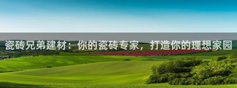 杏鑫注册登录代理公司