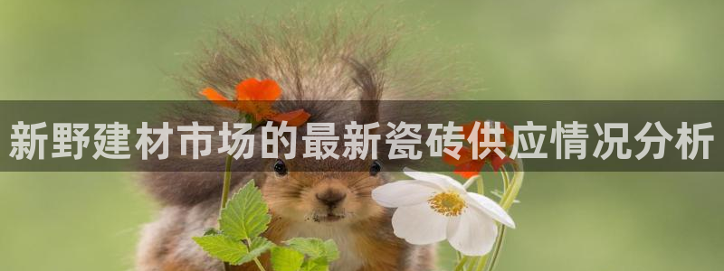 杏鑫官网注册账号密码