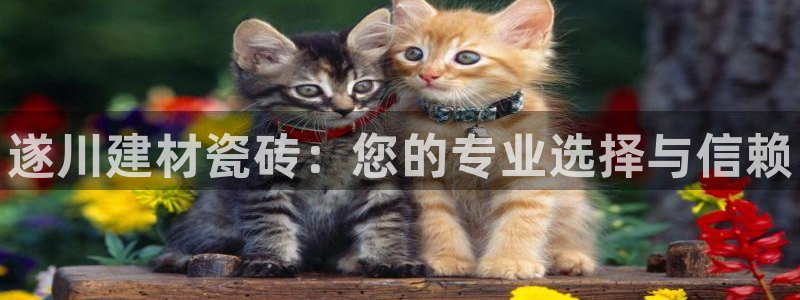 杏鑫娱乐是真的吗还是假的