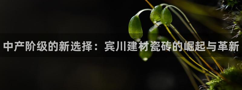 杏鑫平台登录注册