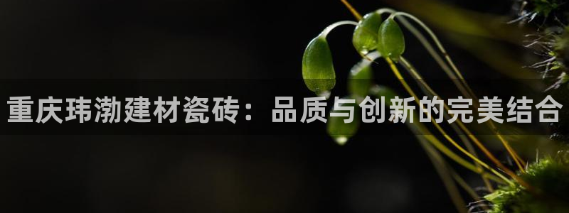 杏鑫注册登录网址是什么