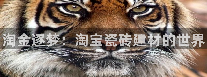 杏鑫娱乐平台登录注册网站