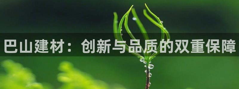 杏鑫官网注册账号是什么