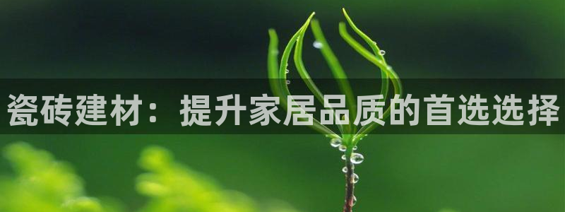 杏鑫平台登录地址查询