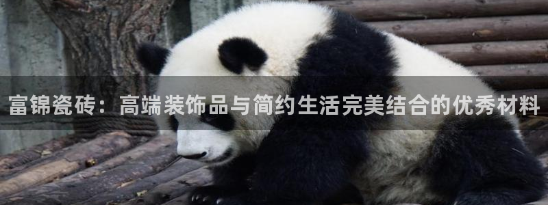 杏鑫平台野马联盟