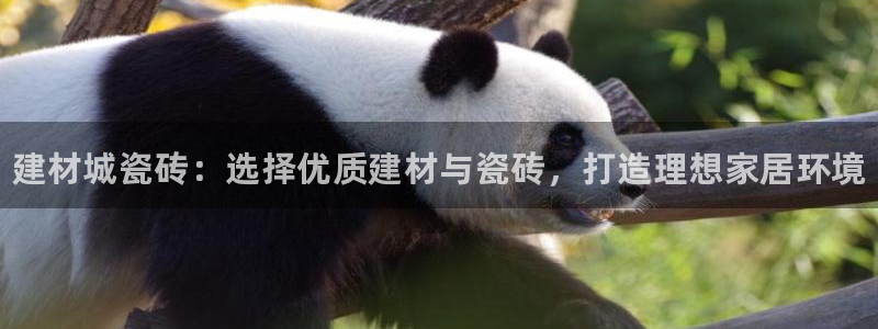 杏鑫官网最新信息