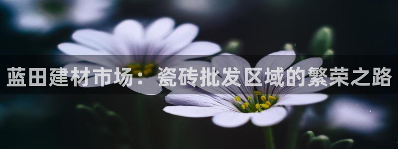 杏鑫官网注册账号怎么注册的