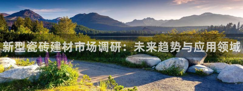 杏鑫官网最新信息