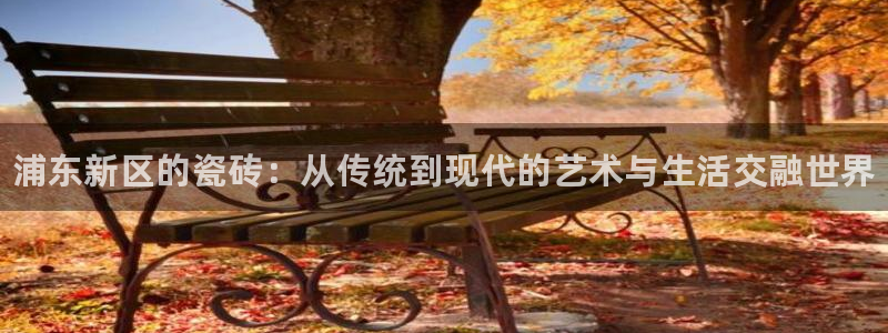 杏鑫平台是黑平台吗知乎